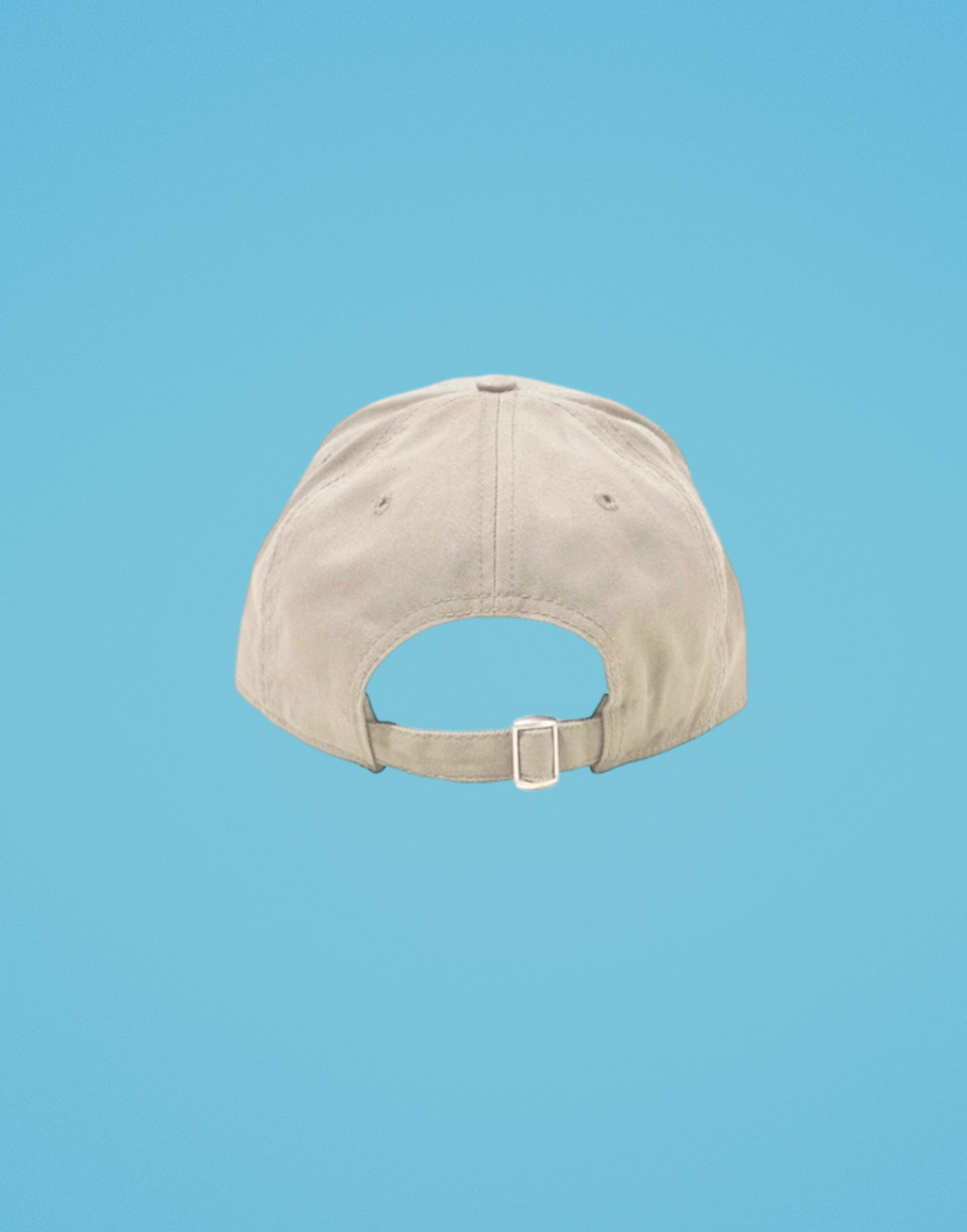 HAZ LBN CAP - STONE